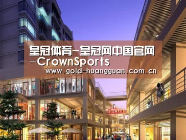 案例展示一(图1)