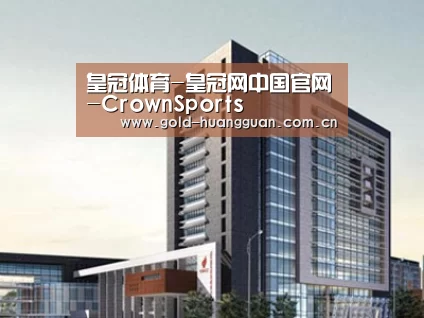 案例展示七