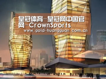 案例展示三
